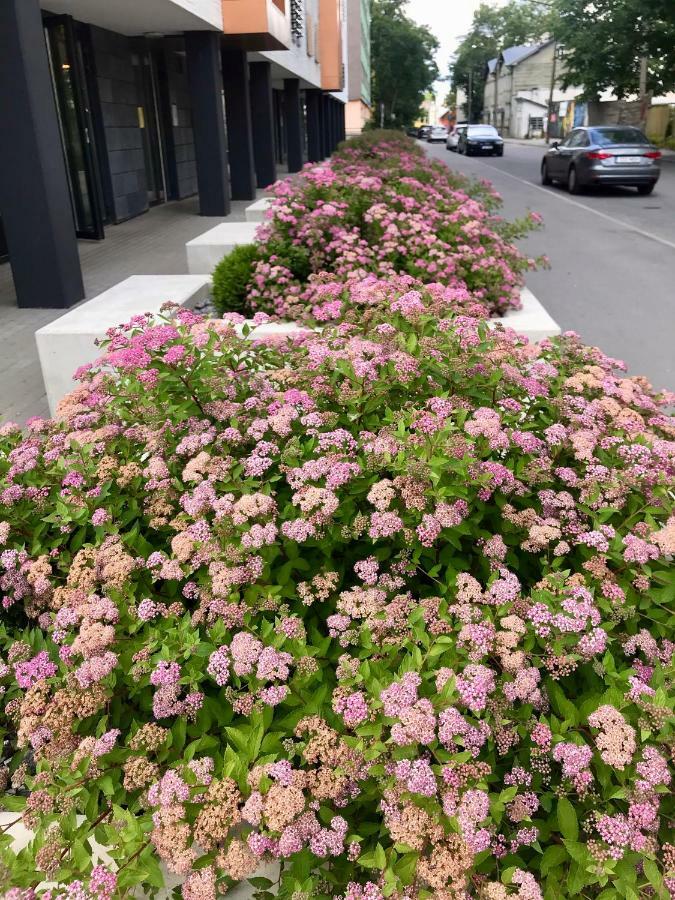 Cozy Home Apartment - Tallinn City Center Luaran gambar